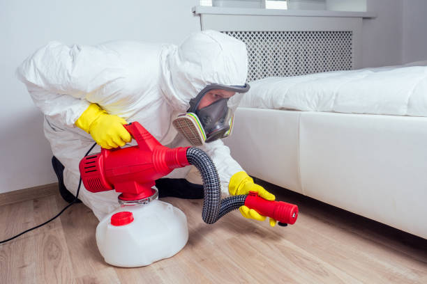 Wasp Removal Services in Muhlenberg Park, PA