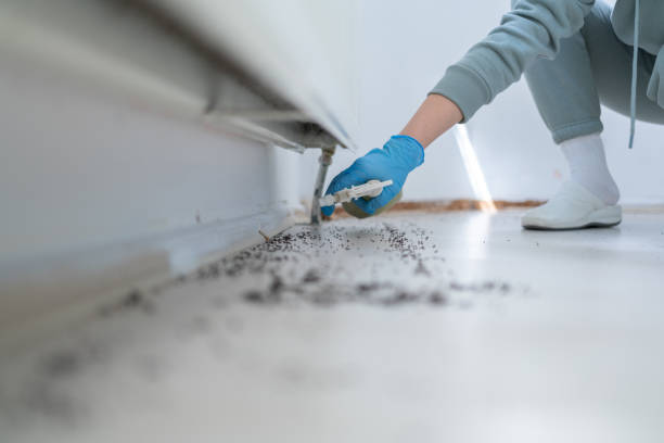 Best Termite Control Services  in Muhlenberg Rk, PA